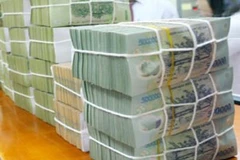 Ảnh minh họa. (Nguồn: Internet).