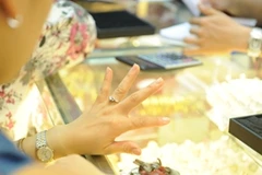 Ảnh minh họa. (Ảnh: T.H/Vietnam+)