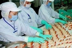 Sản xuất tôm xuất khẩu. (Ảnh minh họa: Lê Huy Hải/TTXVN).