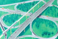 Ảnh minh Họa. (Nguồn: Internet).