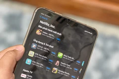 Người dùng vẫn có thể tải về game "lậu" được phát hành bởi Netflix trên App Store. (Ảnh: Minh Sơn/Vietnam+)