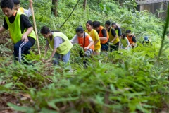 (Ảnh: Minh Sơn/Vietnam+)