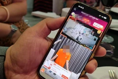 Ảnh minh hoạ. (Ảnh: Minh Sơn/Vietnam+)