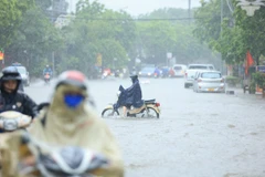 Theo Trung tâm khí tượng thuỷ văn Quốc gia, dự báo thời tiết hôm nay (5/6) đến đêm mai (6/6), khu vực Bắc Bộ có mưa vừa, mưa to và giông, cục bộ có mưa rất to với lượng mưa phổ biến từ 40-120mm, có nơi trên 200mm. (Ảnh: Hoài Nam/Vietnam+)