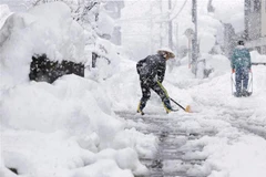 Người dân dọn tuyết trên đường phố tại Nagaoka, tỉnh Niigata (Nhật Bản), ngày 19/12/2022. (Ảnh: Kyodo/TTXVN)