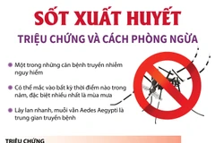 [Infographics] Triệu chứng và cách phòng ngừa bệnh sốt xuất huyết