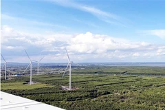 Ảnh minh họa. (Ảnh: Trung Hiếu/TTXVN)