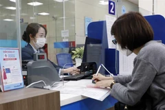 Ảnh minh họa. (Ảnh: Trần Việt/TTXVN)