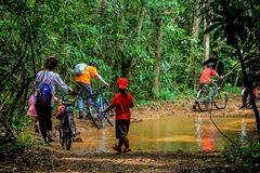 Đạp xe xuyên rừng nhiệt đới Mã Đà mang lại những trải nghiệp đặc biệt cho du khách. (Ảnh: Hồng Đạt/TTXVN)