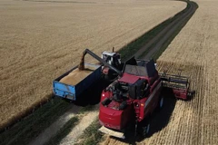 Thu hoạch lúa mỳ trên cánh đồng gần Kramatosk thuộc vùng Donetsk (Ukraine). (Ảnh: AFP/TTXVN)