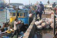 Các bị cáo tại tòa. (Ảnh: Phạm Kiên/TTXVN)