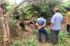  Hiện trường vụ án. Ảnh: TTXVN phát