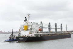 Tàu chở ngũ cốc của Ukraine cập cảng Foynes (Ireland) ngày 20/8/2022. (Ảnh: AFP/TTXVN)