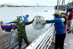 Ảnh minh họa. (Ảnh: TTXVN phát)