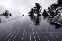 Ảnh minh họa. Ảnh: THE CANADIAN PRESS/TTXVN