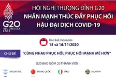 Nội dung Tuyên bố chung G20 về thúc đẩy phục hồi sau đại dịch