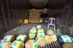 Ảnh minh họa. (Ảnh: Tuấn Anh/TTXVN)