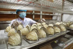 Ngành hàng yến được đánh giá có giá trị kinh tế và tiềm năng xuất khẩu to lớn. (Ảnh: Vũ Sinh/TTXVN)