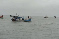 Huy động lực lượng tìm kiếm cứu nạn. (Nguồn: vtv.vn)