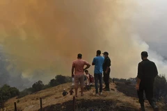 Đám cháy trên ngọn đồi ở Kabylie (Algeria) hồi tháng 8/2021. (Nguồn: Jeune Afrique)