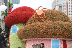 Rực rỡ sắc màu tại Triển lãm Hoa Hong Kong 2024