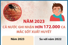 Năm 2023: Số ca mắc sốt xuất huyết giảm nhưng dịch bệnh diễn biến bất thường