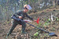 Đội rà phá vật cản, Lữ đoàn 543 thực hiện rà phá bom mìn tại địa bàn huyện Vị Xuyên, Hà Giang. (Ảnh: Đức Thọ/TTXVN)