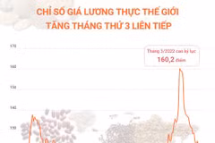 Chỉ số giá lương thực thế giới tăng tháng thứ 3 liên tiếp