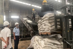 Cơ quan chức năng tiến hành phân hủy lô phân bón gây hại. (Ảnh: TTXVN phát)