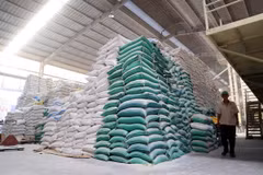 Kho gạo của Công ty TNHH Dương Vũ tại ấp Bình Cang, xã Bình Thành, huyện Thủ Thừa (Long An). (Ảnh: Hồng Đạt/TTXVN)