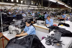 Sản phẩm túi da tiêu dùng trong nước và xuất khẩu của công ty Ladoda. (Ảnh: Trần Việt/TTXVN)