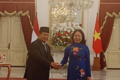 Phó Chủ tịch nước Võ Thị Ánh Xuân và Tổng thống Indonesia Prabowo Subianto tại cuộc tiếp. (Ảnh: TTXVN phát)