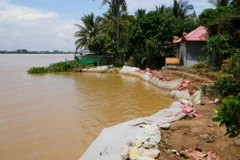 Khu vực sạt lở ven sông Tiền, đoạn thuộc phường 11, thành phố Cao Lãnh (tỉnh Đồng Tháp). (Ảnh: Nhựt An/TTXVN)