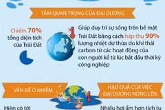 Ngày Đại dương thế giới 8/6: “Hiểu biết sâu sắc hơn về đại dương” 