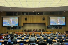 Toàn cảnh phiên họp. (Ảnh: TTXVN phát)