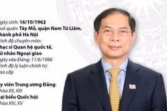 Ủy viên TW Đảng, Phó Thủ tướng Chính phủ, Bộ trưởng Bộ Ngoại giao Bùi Thanh Sơn