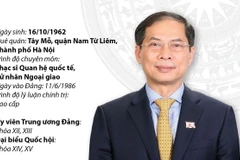 Ủy viên TW Đảng, Phó Thủ tướng Chính phủ, Bộ trưởng Bộ Ngoại giao Bùi Thanh Sơn
