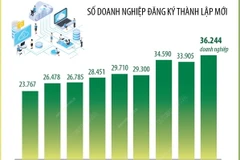 Quý 1/2024, cả nước có hơn 36.200 doanh nghiệp đăng ký thành lập mới
