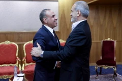 Tổng thống Iran cho biết Iran và Ai Cập có thể giải quyết nhiều vấn đề trong khu vực bằng cách hợp tác. (Ảnh: intellinews)