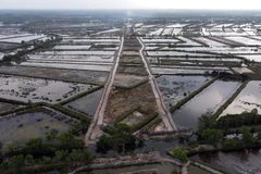 Theo Ban Quản lý dự án Mỹ Thuận cho biết, công tác bồi thường di dời hạ tầng kỹ thuật ở các địa phương còn chậm, nhất là các tuyến đường điện cao thế trên địa bàn tỉnh Hậu Giang. (Ảnh: Huỳnh Anh/TTXVN)