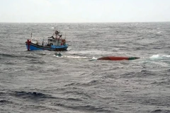 Ảnh minh họa. (Nguồn: TTXVN)