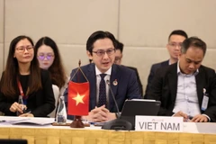 Trưởng SOM ASEAN Việt Nam Đỗ Hùng Việt tham dự Hội nghị Quan chức Cao cấp (SOM) ASEAN. (Ảnh: TTXVN phát)