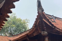 Bí ẩn nhục thân xá lợi gần 400 năm tại Chùa Đậu Thường Tín