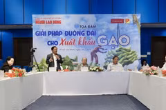 Quang cảnh Tọa đàm. (Ảnh: Xuân Anh/TTXVN)