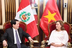 Chủ tịch nước Lương Cường và Tổng thống Peru Dina Ercilia Boluarte Zegarr. (Ảnh: Lâm Khánh/TTXVN)