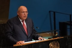 Ngoại trưởng Ai Cập Sameh Shoukry. (Ảnh: AFP/TTXVN)