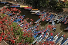 Những con thuyền tại suối Yến sẵn phục vụ du khách dự Lễ hội Chùa Hương. (Ảnh: Thành Đạt/TTXVN)