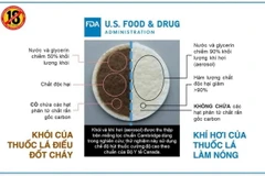 So sánh hàm lượng chất gây hại trong thuốc lá làm nóng và thuốc lá điếu.