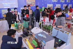 Giáo dục STEM. (Nguồn: TTXVN)