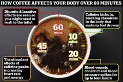 Quá trình càphê tác động đến cơ thể của bạn. (Nguồn: Dailymail)